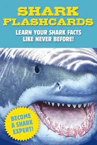 Shark Flash Cards