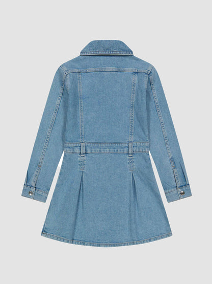 Manning Denim Dress, Fountain Wash