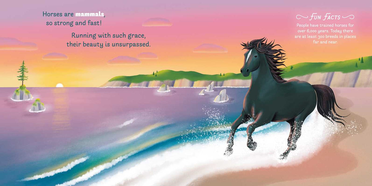 Little Genius Horses by Teesh Holladay