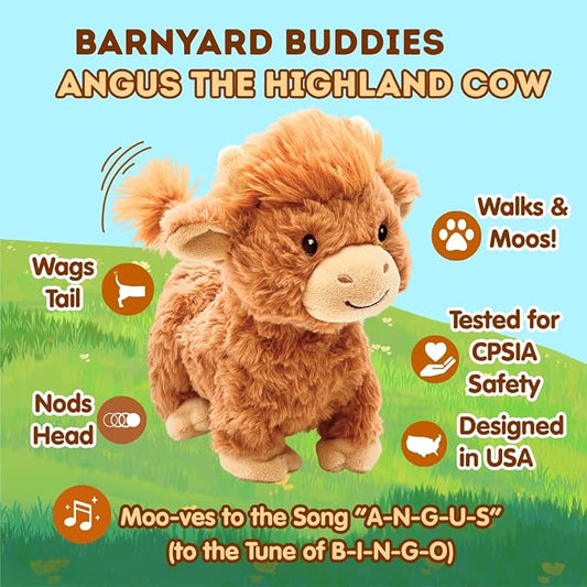 Walking Highland Cow