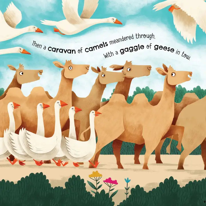 A Parliament of Owls Hardcover Book