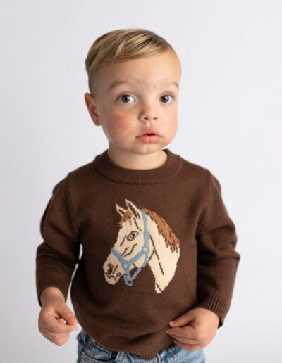 Boys Horse Sweater, Brown