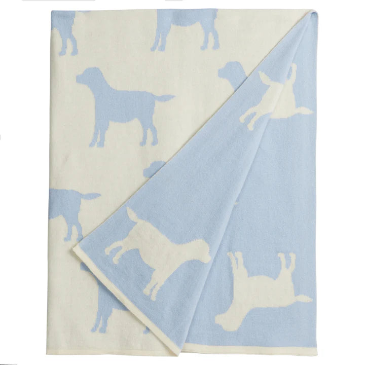 Lab Reversible Knitted Nursery Blanket, Baby Blue