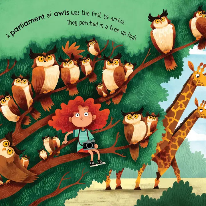 A Parliament of Owls Hardcover Book