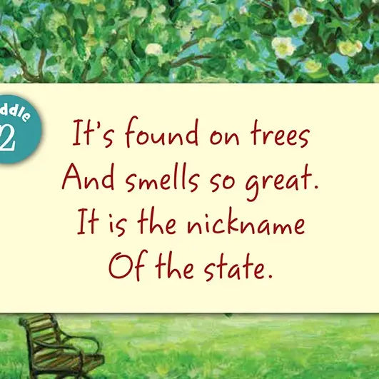 Little Mississippi Board Book