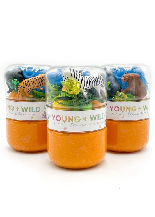 Grab & Go Dough Jar, Zoo