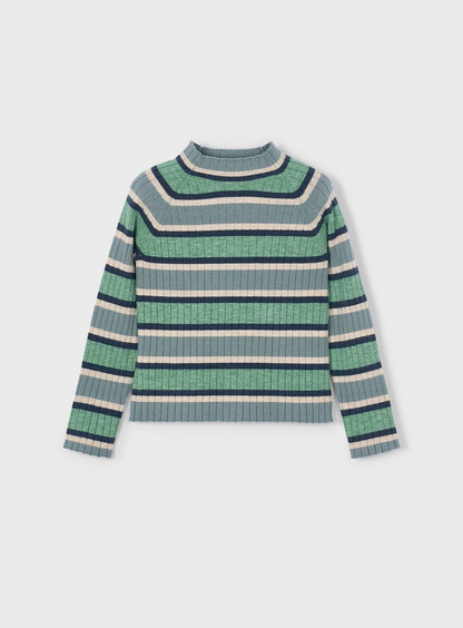 Salia Ribbed Turtleneck