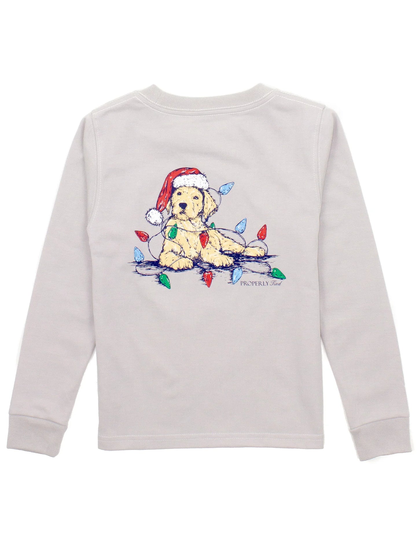 Boys Santa Paws LS , Ice Grey