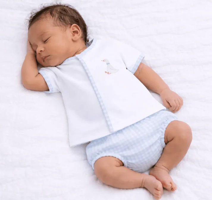 Silly Goose Diaper Cover Set, Light Blue