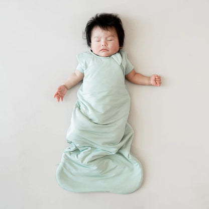 Kyte Sleep Bag, 1.0 (multiple colors)