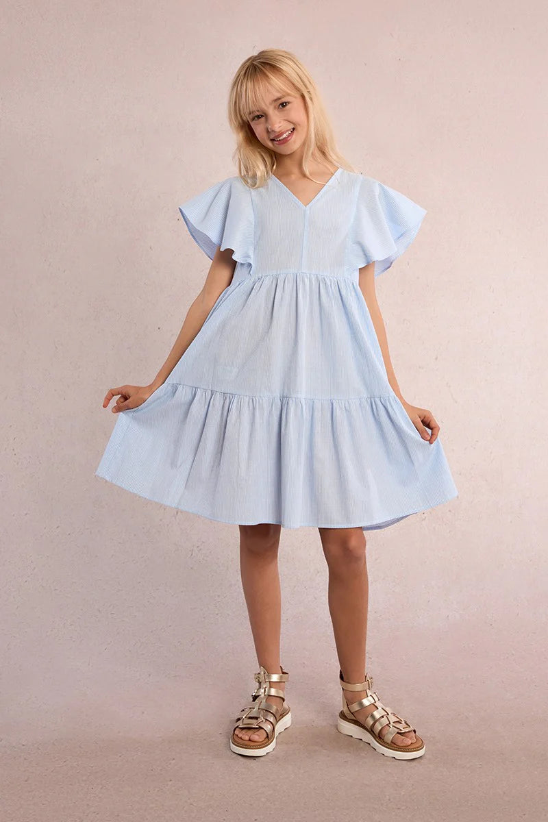 Pinstripe Babydoll Woven Dress, Blue/White