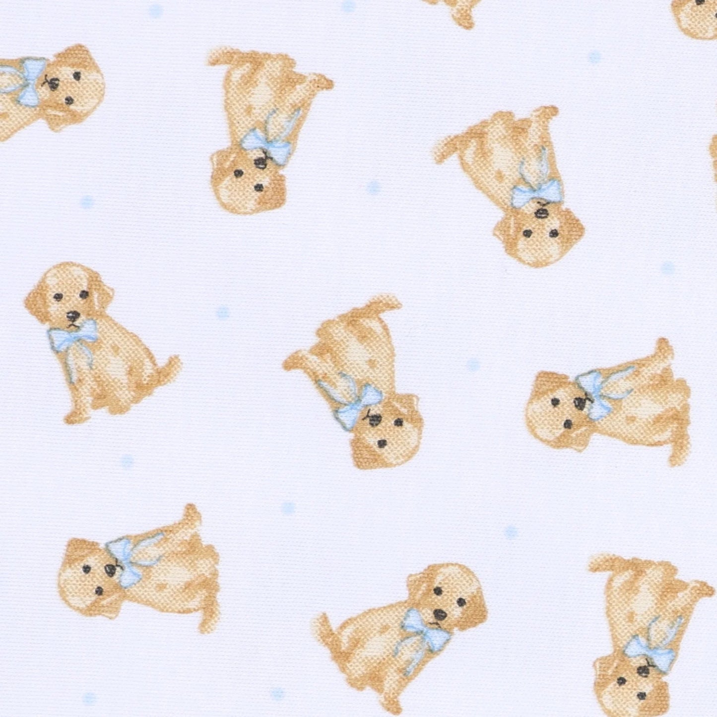 Sweet Golden Print Zip Footie, Light Blue